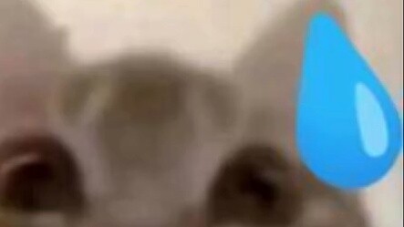 Fans of Ka Daxian please come in