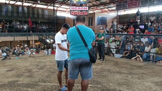 mclean Gull X Melsims black 4Stag dervy Banay banay amadeo Cavite 1fight #San_Agustine_Mendez_GF