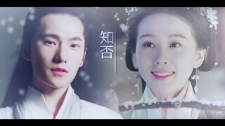 [Yang Yang x Liu Shishi] Begonia vẫn như cũ