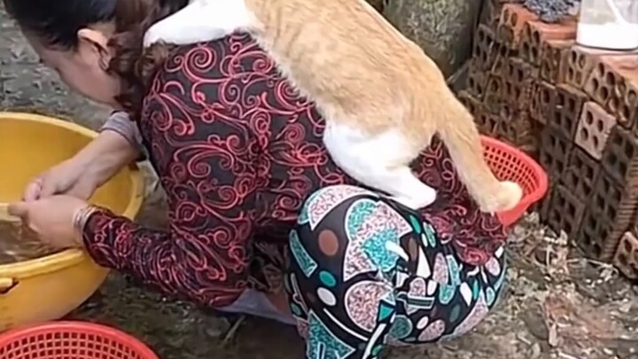 "รักจากคุณย่าและคุณปู่!"