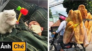 Bánh Mỳ Siêu To Khổng Lồ | Những Hình Ảnh Hài Hước (P 157)