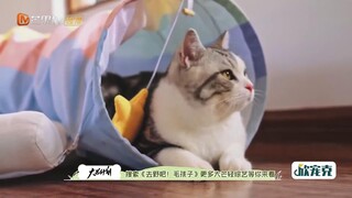 Đi Nào, Cún Con! EP 3 [Sub Việt]