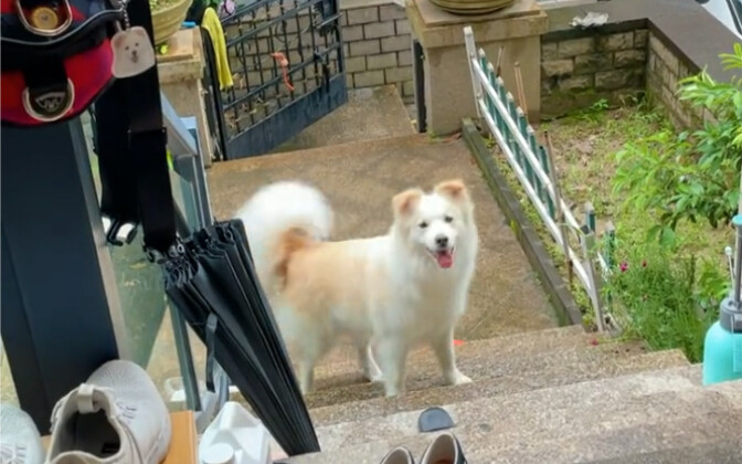 Be a clean and tidy good kid!