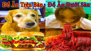 Thú Cưng TV | Gâu Đần và Bà Mẹ #24 | Chó Golden Gâu Đần thông minh vui nhộn | Pets cute smart dog