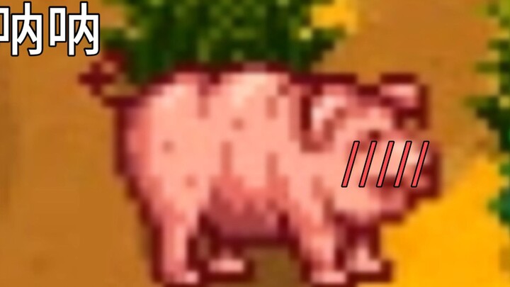 【Stardew Valley】Si Babi: Coba tebak, apa yang berbeda antara kemarin dan hari ini (≧∇≦)ﾉ