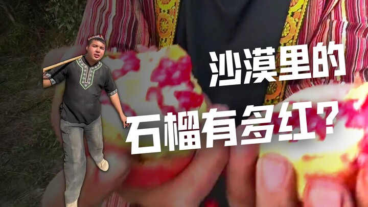 Pahlawan Penghijauan Gurun: Salut untuk setiap pahlawan penghijauan!