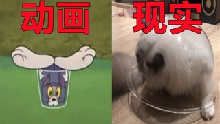 猫和老鼠诚不欺我！