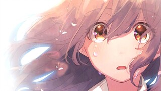 [The Shape of Sound/AMV] "การพบกันคืออุบัติเหตุที่สวยงามที่สุด"
