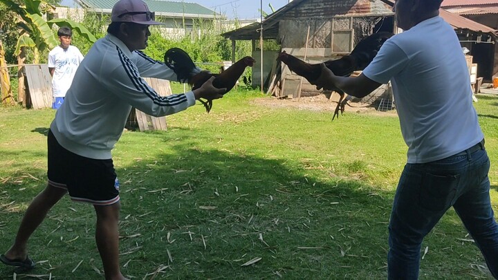 STREET FIGHT SERYE BIYERNES SANTO DRAW ANG LABAN.