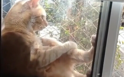 Aku sudah putuskan besok aku bakal nganterin dia kerja.