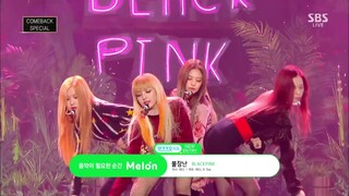 【BLACKPINK】玩火（Playing with Fire ）现场混剪 #2019新人嘉年华#