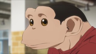 Manusia Setengah Simpanse yang Bikin Dunia Geger😮