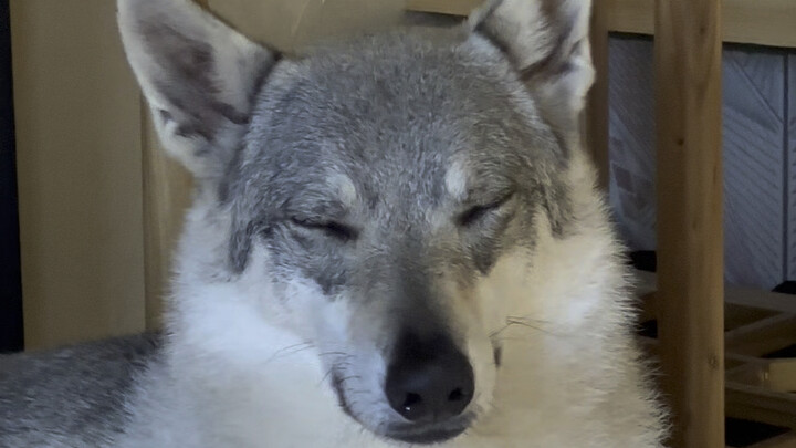 No way, are you two really their parents? 😅……