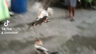 bitaw muna sa kino conditioning ko na super kanawayon ng rrzn