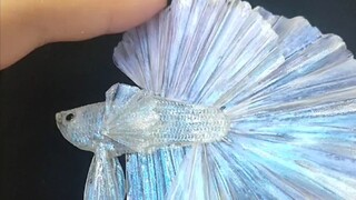 วิดีโออธิบายว่าทำไมคุณไม่สามารถซื้อปลาในจานในห้องถ่ายทอดสดได้