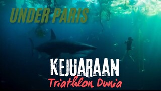 Kejuaraan Triathlon Dunia