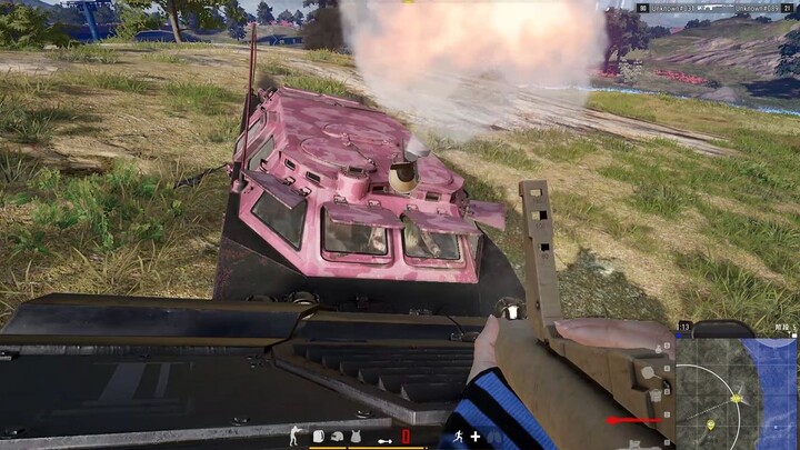 Report Reason: Ruins the Gaming Experience