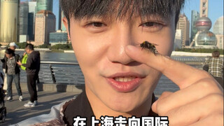 带着小蜜蜂从北京出发去上海旅行