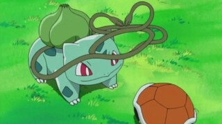 [Pokémon] Ai mà không thích một Bulbasaur tối đa với ý thức công lý mạnh mẽ và khả năng dỗ dành và c