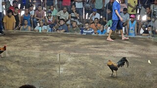 2nd fight . win