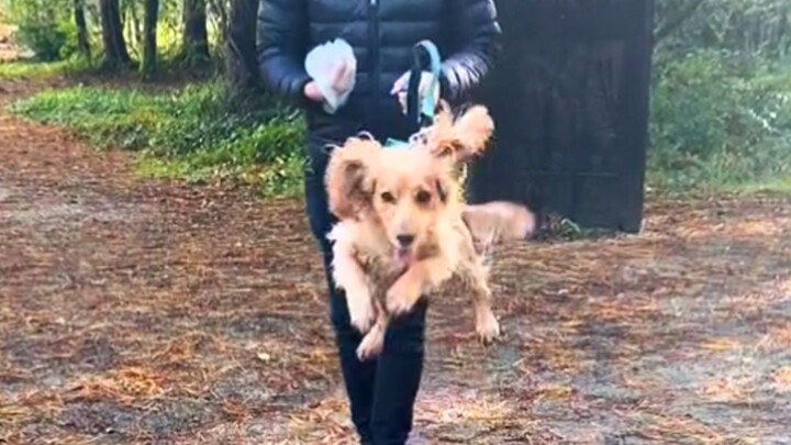 Puppy Rupert is basically Tigger’s distant cousin, hahaha!