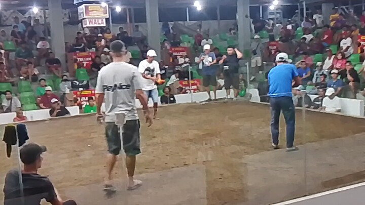 melsims grey pa champion