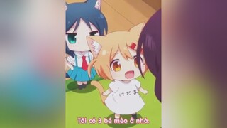 Mấy bé mèo cute quá trời🥰😍animes nyankodays nyan xuhuong xuhuongtiktok