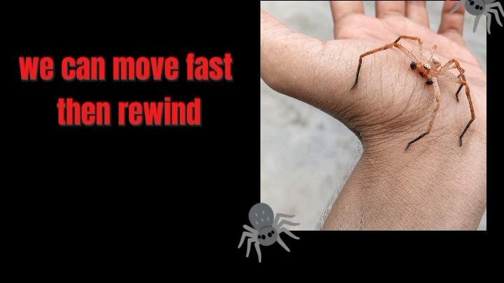 spider end my hend🥰