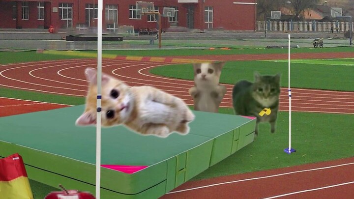 Banana Cat and the Kitty Cats Join the Sports Day High Jump Competition!