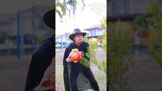 แจ็คเป็นคาวบอย!! กำลังฮิตใน TikTok #Shorts #wiwawawowtv