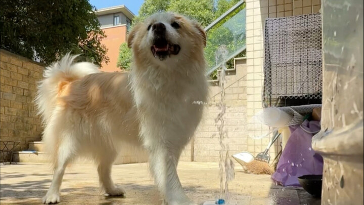 Mom no longer has to worry about me not drinking water.