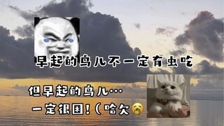 有点道理 但不多