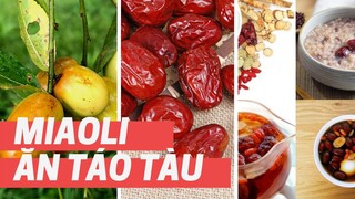 Ăn sập khu trồng táo tàu 1 tỷ Đài tệ | Ăn chơi Đài Loan