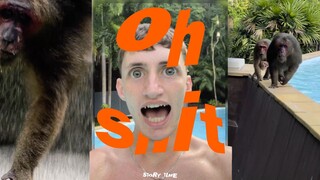 你 不 要 过 来 啊 ‼️