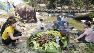 GẶP TRÂU CHIẾN 100 TRIỆU DÃ NGOẠI CUỐI TUẦN CÙNG SƠN NỮ