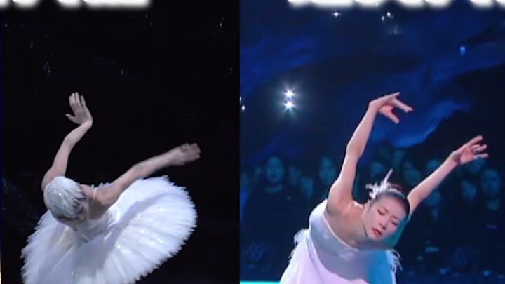 [ความสวยงามและความเพลิดเพลินอย่างแท้จริง] แขนหงส์สไตล์ชาติพันธุ์ที่งดงามที่สุดของ Oriental Swan Tan 