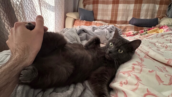 My Sheila 🥹🥹