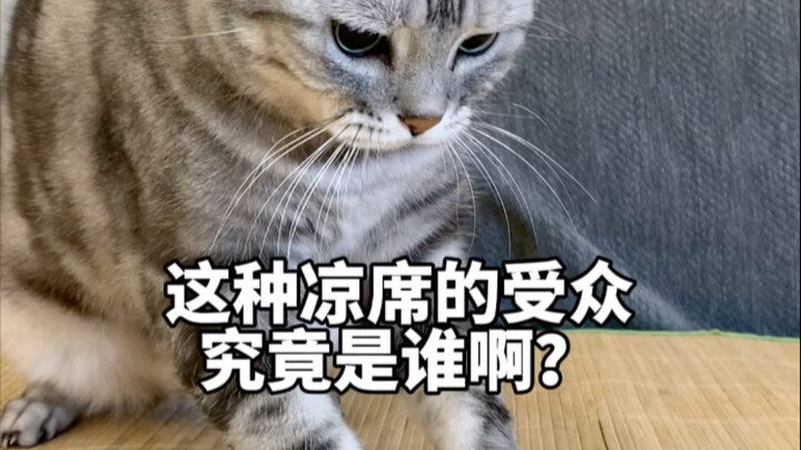 Siapa sebenarnya target pasar tikar dingin ini?! An Sheng: Mending nyalain AC aja buat ngusir panas 