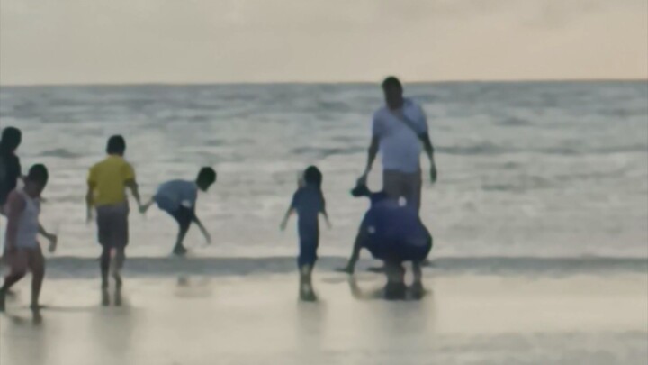 pantai merauke