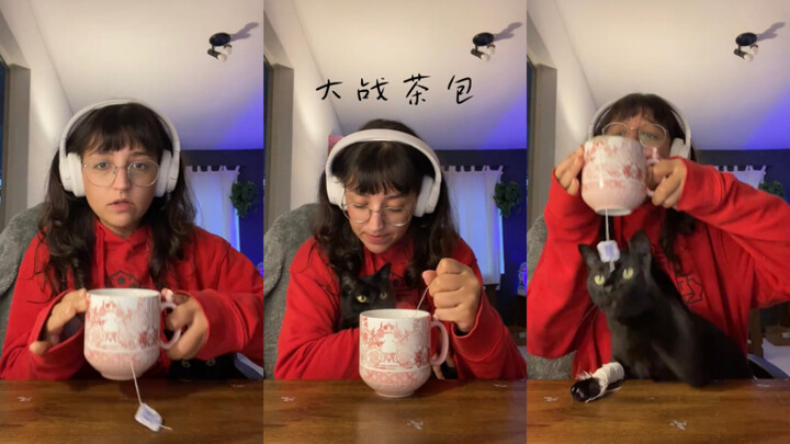 Tiểu Mậu mật chiến với túi trà 😼