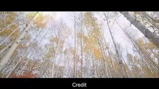 Finland Papa Episode 2