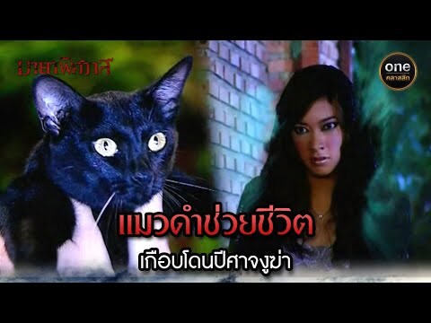 แมวดำช่วยชีวิต เกือบโดนปีศาจงูฆ่า | Highlight #มายาพิศวาส Ep.09 | #oneคลาสสิก