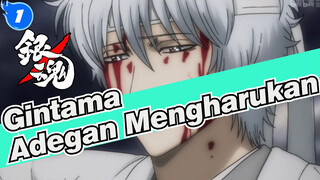 [Gintama] Awas! Adegan yang Mengharukan (Kisah Empat Deva & Kisah Pelac*r Bangsa_1