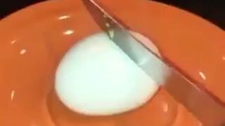 egg