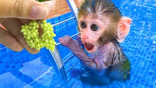 Monkey Baby Bon Bon dreams of puppy eating so yummy fruit and ducklings swimming in the pool