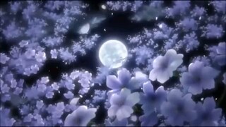 high school of the dead full movie English dub.💥💯