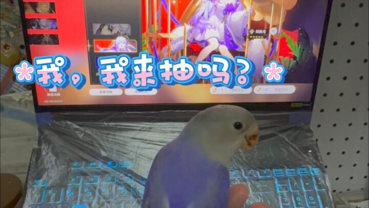 هل سأفوز بالسحب؟ بالطبع سأفوز (لقد أجلت الأمر لنسخة كاملة، لكنه أُطلق أخيرًا)!