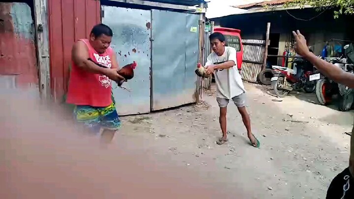 1x winner puwa