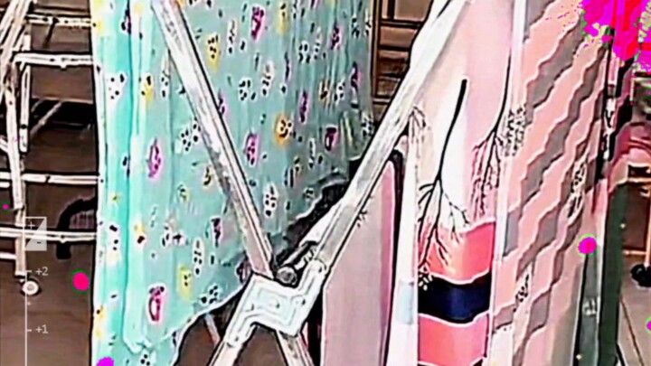 cuộc sống hàng ngày của tôi