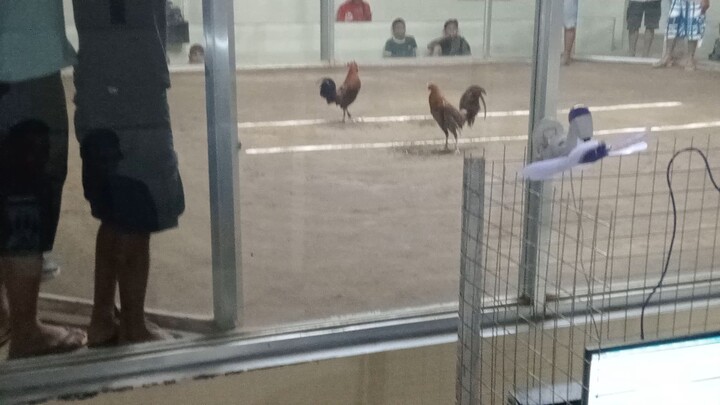 pure perfection straight come